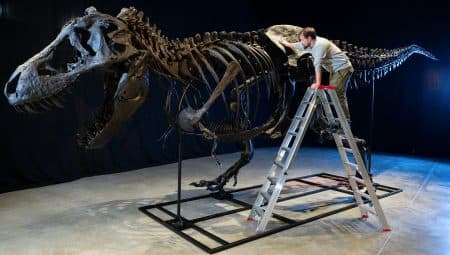 A világ legritkább dolgai, amiből csak kevés van a Földön