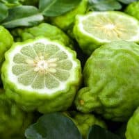 fresh bergamot