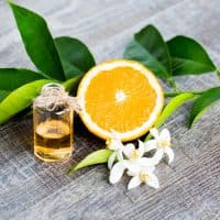 Juicy Orange cut in two parts and neroli, flowers of orange tree, on rustic wood background. The Orange blossom is the fragrant flower of the Citrus is used in perfume and tea, aphrodisiac.