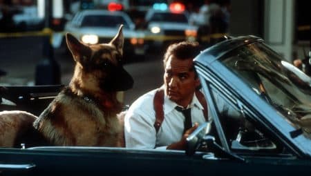 Jerry Lee, Hacsi, Kántor – a leghíresebb filmes kutyák