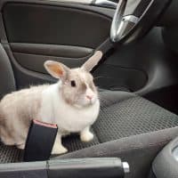 Dmitrii Guldin / Getty Images