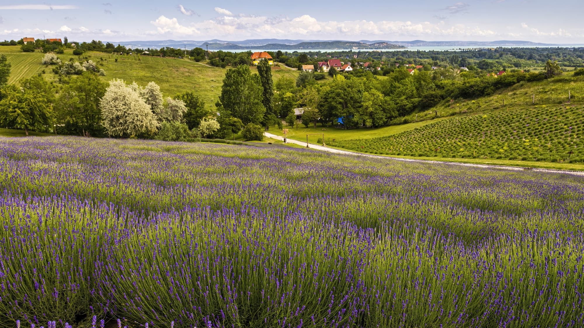 Koloska-völgy, Kányavári-sziget, Sajkod – romantikus sétahelyek a Balaton-felvidéken