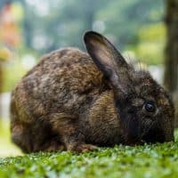 Fajrul Islam / Getty Images