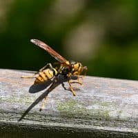 Phil Woodall / 500px / Getty Images