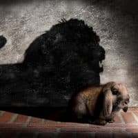 serpeblu / Getty Images