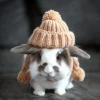 jenniholma / Getty Images