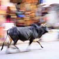 Atlantide Phototravel / Getty Images