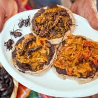 ©fitopardo / Getty Images