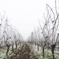 kolderal / Getty Images