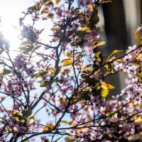 Mohos Márton / 24.hu