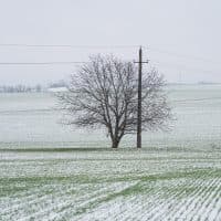 Szajki Bálint / 24.hu