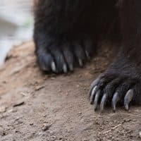 Szajki Bálint / 24.hu