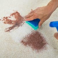 Cropped image of man cleaning stain on carpet with sponge