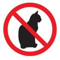 Vector illustration of a black cat with  red no symbol on it.