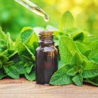 The mint extract in a small jar. Selective focus.