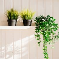 artificial flowers in pots on shelves against the white wall. houseplants in the interior.