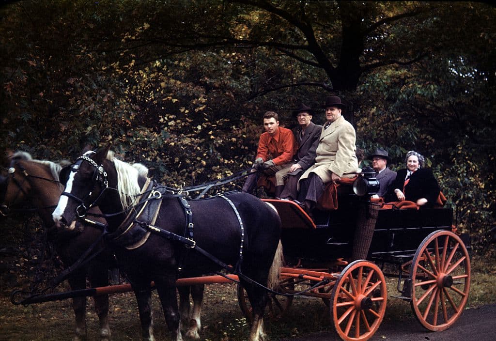 Vernacular snapshot image of coach, driver, family and group with forest, 1948. (Photo by Smith Collection/Gado/Getty Images).