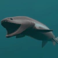 Deep Sea Frilled Shark, 3D Rendered