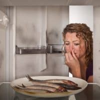 A woman holds her nose as she finds a plate of smelly old fish in a dirty refrigerator.
