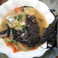 Bat soup in Palau