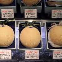 TOKYO, JAPAN - JANUARY 16, 2014: Gift boxes of flawless melons for sale at a food shop in Tokyo's trendy Shibuya district. The expensive boxes of fruit are popular special ocasison gifts in Japan. The most expensive melon, on the right, is priced at 12,600 yen, or about $125 U.S. dollars. (Photo by Robert Alexander/Getty Images)