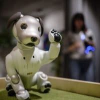 New Aibo pet robot is shown in the Sony Square Shibuya Project in Tokyo, Japan in October 2018 ( (Photo by Oleksandr Rupeta/NurPhoto via Getty Images))