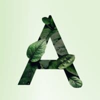 An illustration of the letter A made of leaves on a green background