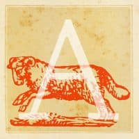 Capital letter A with Aries Zodiac sign (March 21 - April 20). Digital illustration realized by assembling 19th - century printing elements by Elena Piccini, Italy, Milan 2017. (Photo by Fototeca Gilardi/Getty Images)