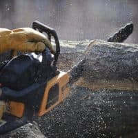 Man's hands hold a chainsaw against a fallen tree as wood chips shoot in all directions.