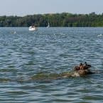Hámori-tó, Deseda, Öreg-tó – a leggyönyörűbb magyar csónakázó tavak