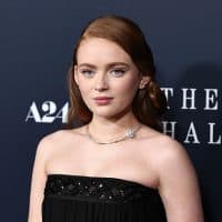 NEW YORK, NEW YORK - NOVEMBER 29: Sadie Sink attends "The Whale" New York Screening at Alice Tully Hall, Lincoln Center on November 29, 2022 in New York City. (Photo by Jamie McCarthy/Getty Images)