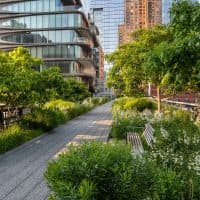 The High Line in summer in the heart of Chelsea, Manhattan, New York City